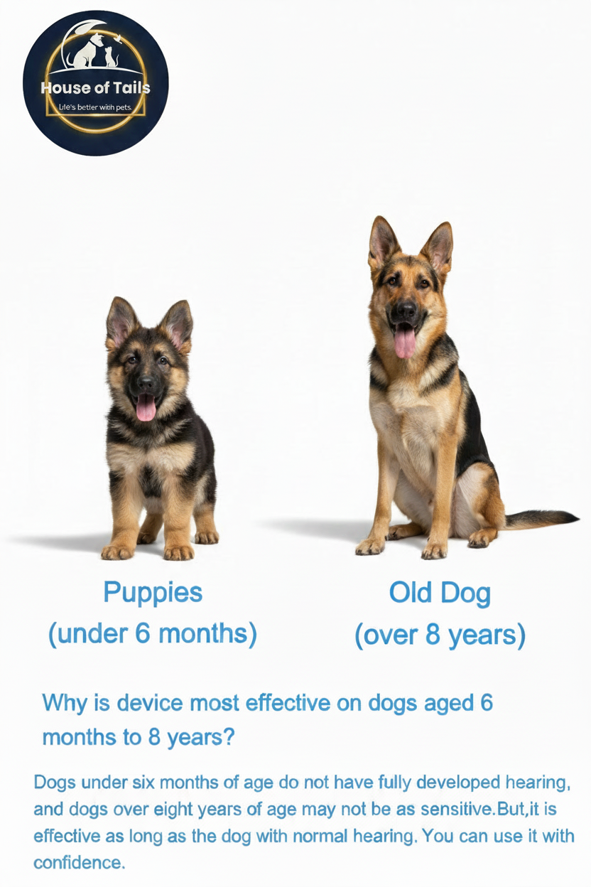 Bark Stopper Infographic - Gold Text