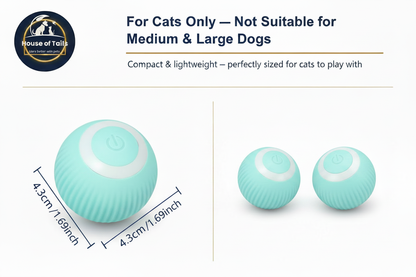 Cat Toy Ball White Button – House of Tails