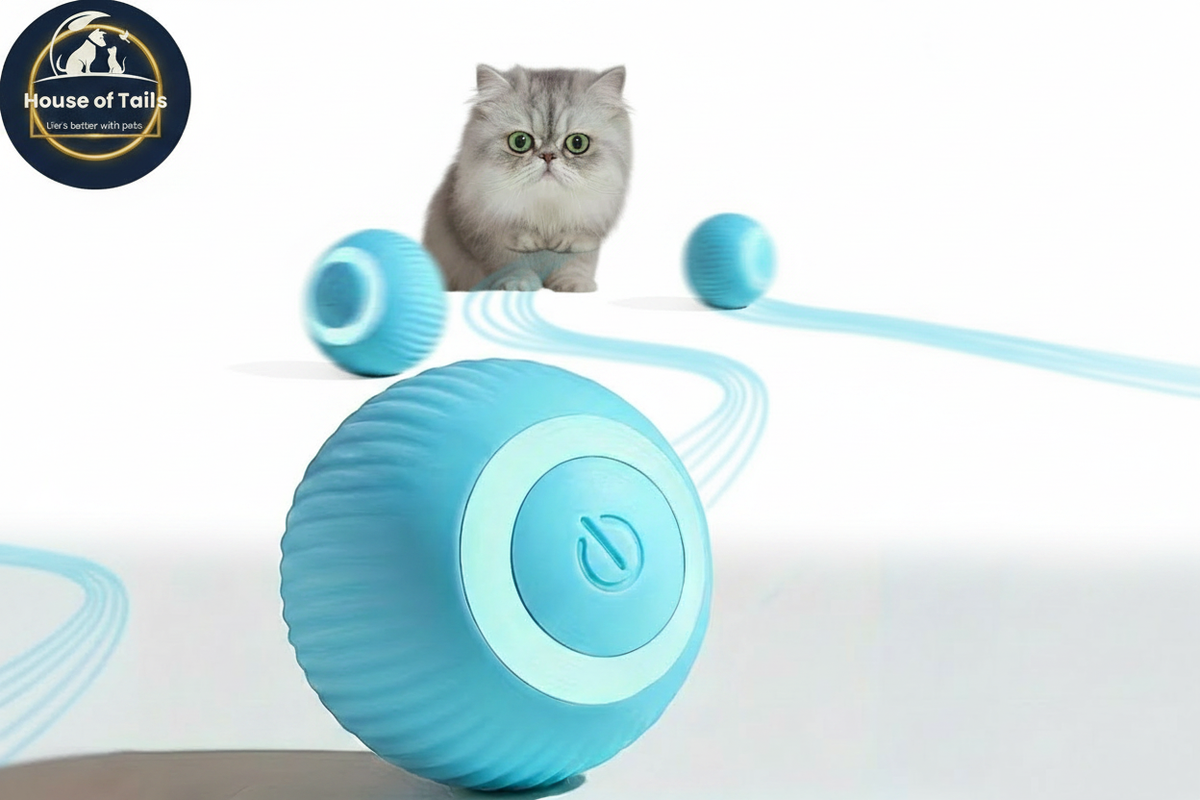 Electric Cat Toy Ball Pure White Retry – House of Tails
