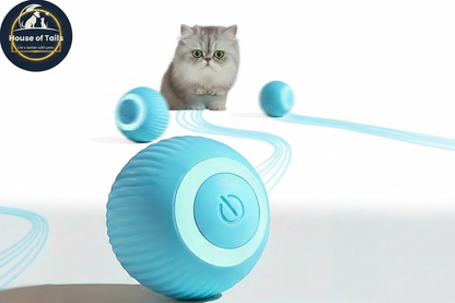 Electric Cat Toy Ball Pure White Retry – House of Tails