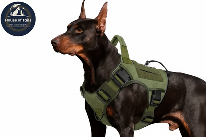 Tactical Harness with Logo Top Left