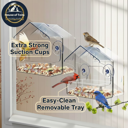 Window Bird Feeder - Benefits